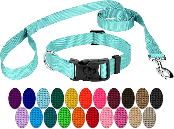 Country Brook Petz - Everyday Nylon Dog Collar and Leash - 10+ Cool Colors (1 Inch, Extra Large, Light Cyan)