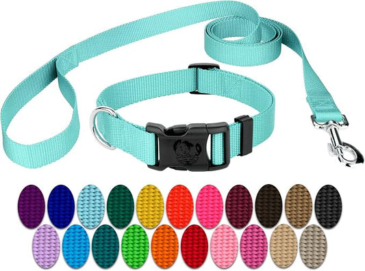Country Brook Petz - Everyday Nylon Dog Collar and Leash - 10+ Cool Colors (1 Inch, Extra Large, Light Cyan)