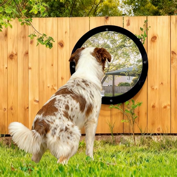 2 Pack Dog Fence Window, 12.4 Inch Clear Pet Dome, Transparent Plastic Pet Peek Window for Playground, Doggie Fence Domes, Supplies for Dog Cat Horse, 12.4 x 4.9 Inch (Clear)