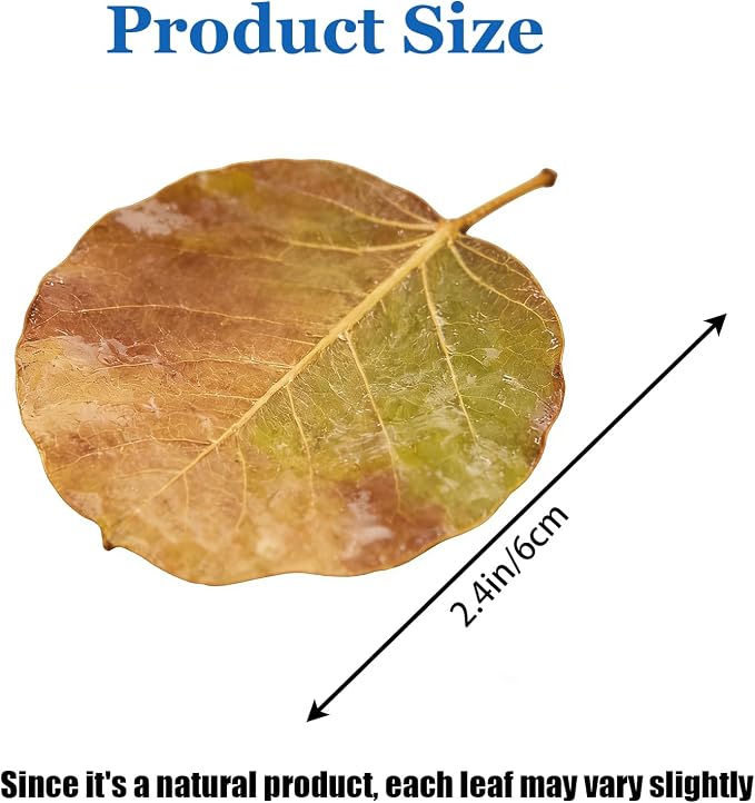 100Pcs Indian Almond Leaves Bodhi Leaves Aquarium Decor Water Conditioner | Sealed Package,for Betta Fish Shrimp Goldfish Guppy,Betta Fish Tank Decor,Balance PH,Natural Tannins,Axolotl Tank Accessories