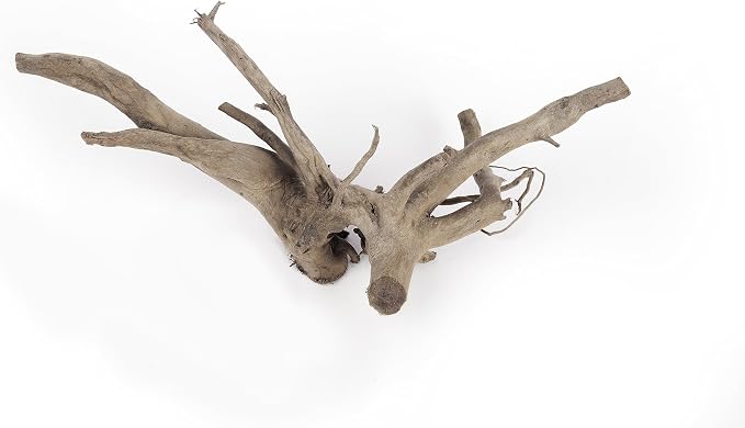 Spider Wood Natural Aquarium Decor Branches 4pcs 12-16in Aquascape | Slim branchy shapes; betta and aquascape tank