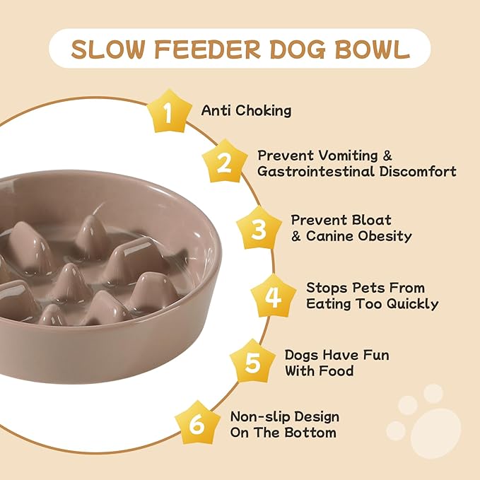 Havniva Ceramic 0.9 Cup Raised Slow Feeder Dog Bowl Set, Elevated 6.1inch Slow Dish and 6.1inch Water Bowl with Wooden Stand for Small Dogs (2 x Brown Coffee+ Stand)