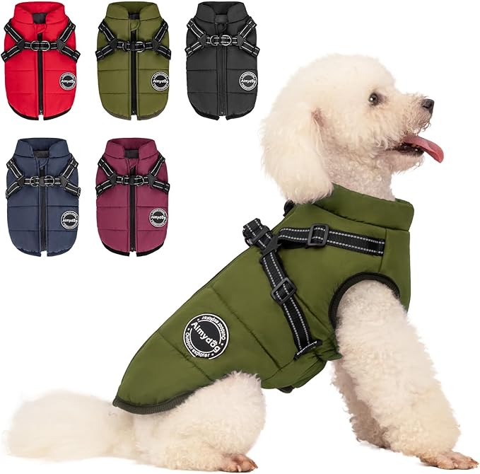 Warm Dog Winter Coat, Fashion Pet Cold Weather Jacket with Built-in Harness, Reflective & Adjustable Comfortable Pet Vest, Windproof Apparel for Small Medium Large Dogs (Green)