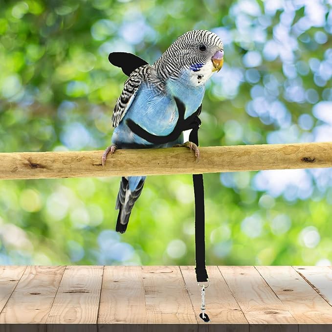 Birds Harness Leash Outdoor Flying Escape-Proof Adjustable Training Design Anti-Bite Bird Rope with Cute Wing for Parrots Scarlet Keck Mini Macaw Love Birds (Black)