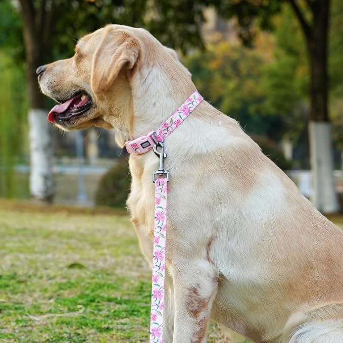Dog Collar Leash Set, Floral Pattern, Polyester Material, Adjustable Collar and 5ft Matchcing Leash, for Large Dogs.(L, Pink Lily)
