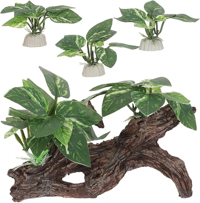 DECHOUS 4Pcs Aquarium Driftwood Decorations - Natural-Looking Driftwood Hideout Cave for Betta Fish and Shrimp Freshwater Fish Tank Decor for Aquascaping Durable Water-Resistant Aquarium Ornaments