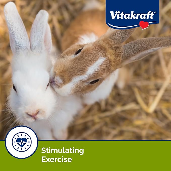 Vitakraft Crunch Sticks Rabbit Treat Wild Berry and Honey Flavor with Natural Grains and Honey Enriched with Essential Nutrients Baked on Wooden Stick to Encourage Chewing and Long Lasting Enjoyment