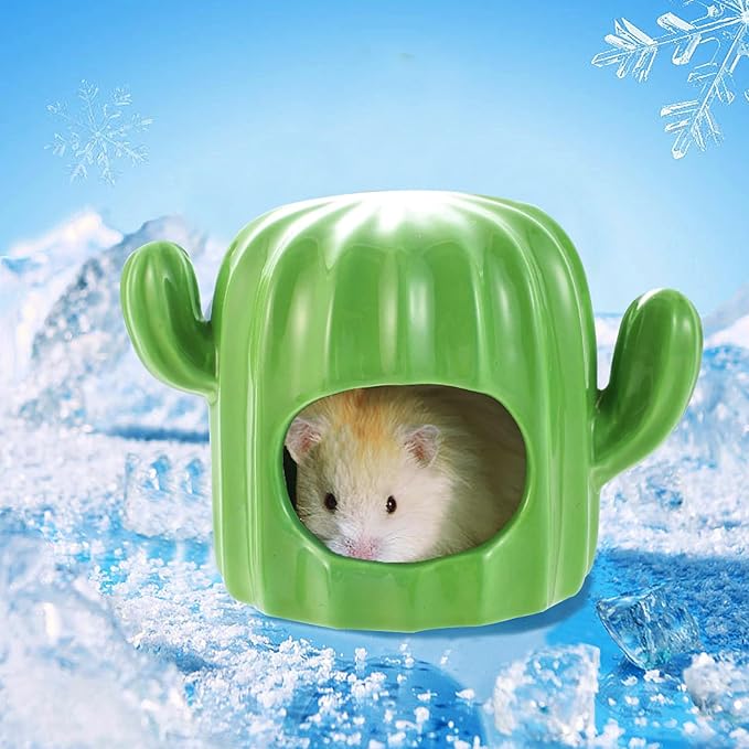 GKYZBB Hamster Hideout Ceramic,Hamster House and Habitats Cool Bed Ideal for All Season Dwarf Gerbil Mice Golden Bear (Green)