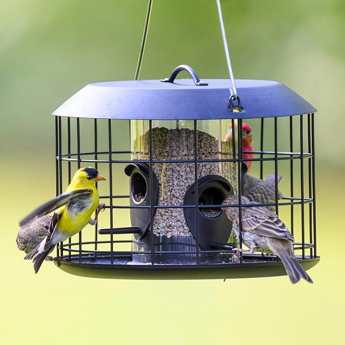 Kingsyard Mesh Caged Bird Feeders for Outdoor Hanging, Tube Squirrel Proof Bird Feeders with Tray for Small Birds Finches Bluebird, Rain Proof Covered, 4 Feeding Ports, Black