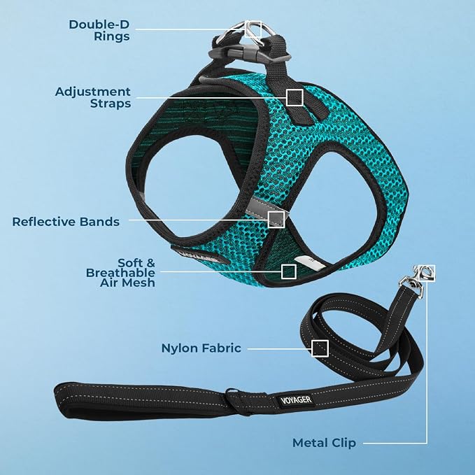 Best Pet Supplies Voyager Step-in Air All Weather Mesh Harness and Reflective Dog 5ft Leash Combo with Neoprene Handle, for Small, Medium and Large Breed Puppies - Set (Turquoise 2-Tone), Medium