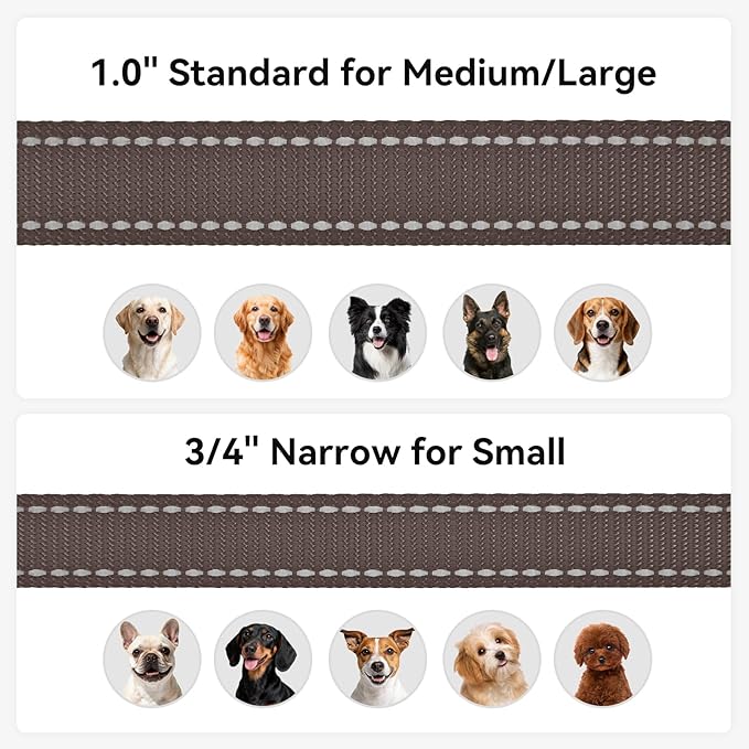 Joytale Double-Sided Reflective Dog Leash, 6 FT/5 FT/4 FT, Padded Handle Nylon Heavy Duty Leashes for Small & Medium Dogs Walking, Brown, 6FT