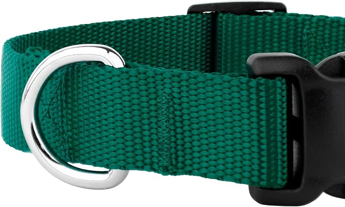 Country Brook Petz - Everyday Nylon Dog Collar and Leash - 10+ Cool Colors (1 Inch, Large, Green)