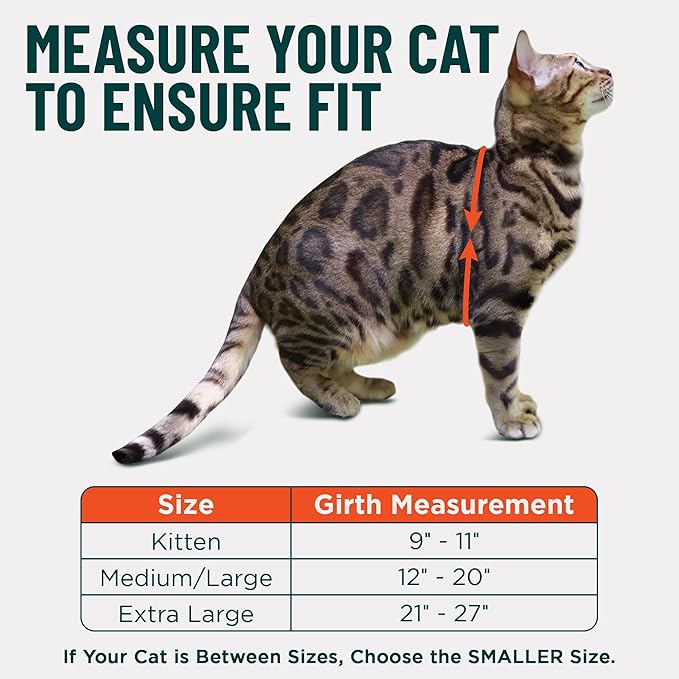 Houdini™ Escape Proof Cat Harness and Leash Set by OutdoorBengal – Tactical Vest for Walking – Comfy, Adjustable and Lightweight - Houdini Cat Harness Escape Proof for Cats + Cat Leash (Multicolor, M)