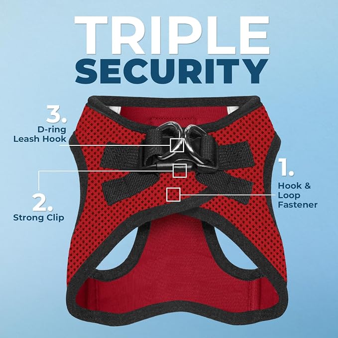 Best Pet Supplies Voyager Step-in Air All Weather Mesh Harness and Reflective Dog 5ft Leash Combo with Neoprene Handle, for Small, Medium and Large Breed Puppies - Red/Black Trim, Medium