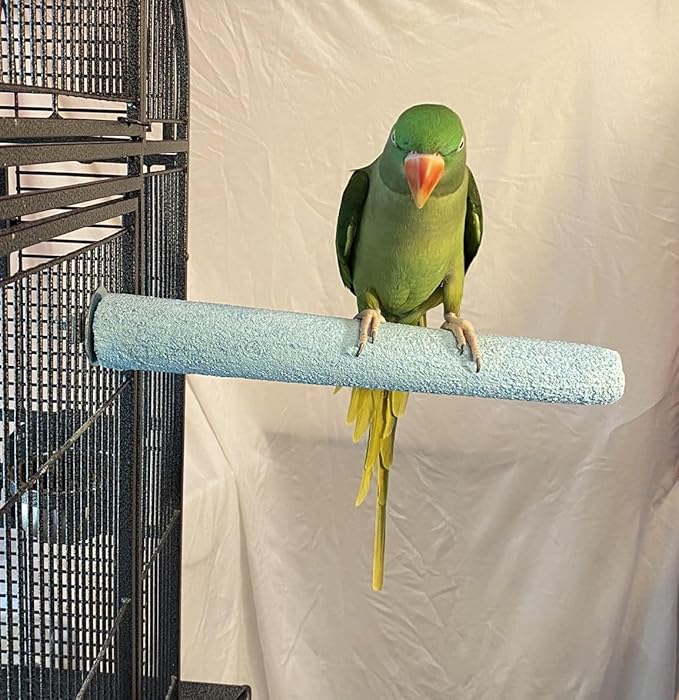 Polly's Pastels Nail Trimming & Beak Conditioning Safety Perch for Cockatiels, Cockatoos, Macaws, Parakeets, Budgies, Parrots and All Other Birds (Blue, Large Long-1 1/2