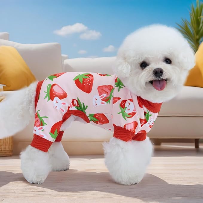 XPUDAC 4 Pieces Dog Pajamas Small Sized Dogs Boy Girl Strechy Soft Pjs Summer Pet Clothes for Dog Cat Puppy Onesies, S