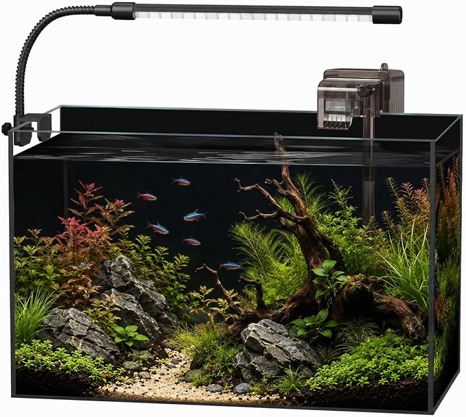 5 Gallon Glass Aquarium Starter Kit, Rimless Fish Tank | Complete Aquarium Kit with Adjustable LED Light, Filter, Lid & Mat for Betta Shrimp & Plants, Easy Setup and Maintenance