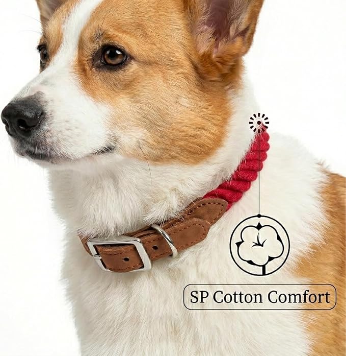 Mile High Life Genuine Leather Dog Collar, Durable Braided Cotton Rope Collar with Metal Pin Buckle for Small Medium Large Dogs (Red, M Neck 15"-18")