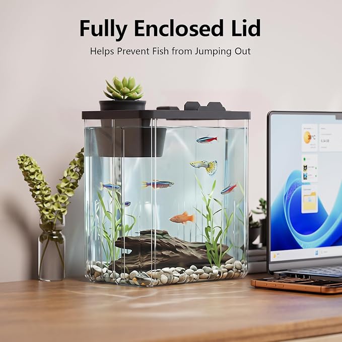 2 Gallon Betta Fish Tank Aquarium Starter Kit with Light and Lid(Black) | Premium Acrylic Aquarium with Light and Lid, Crystal Clear Starter Kit for Betta Fish, Shrimp, Snails and Small Fish