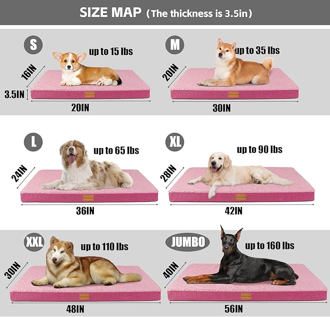 Patas Lague Orthopedic Dog Bed Large Sized Dog 36''X24'',Soft Waterproof Egg Crate Foam Medium Pet Crate Beds Mat with Removable Washable Cover and Non-Slip Bottom, Pink