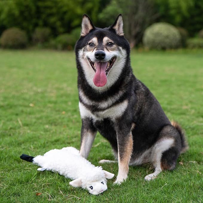 Best Pet Supplies Squeaky Dog Toys with Soft Durable Fabric for Small, Medium and Large Pets Interactive Toy for Indoor Play, Supports Active Biting and Play - Large (Hare, Sheep, Cow, Pig, Penguin)