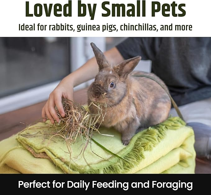 High Desert 2nd Cutting Timothy Hay for Rabbits, Guinea Pigs, Chinchillas and Small Pets, Soft Leafy for Daily Feeding and Digestive Health, Natural Rabbit Food and Guinea Pig Hay for Hay, 4 Lb Box