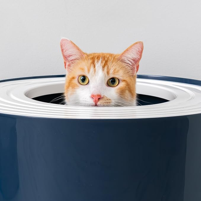 IRIS USA Cat Litter Box Large Top Entry with Lid Enclosed Covered Hooded Design Litter Catching Scatter Shield Pan Dog Proof Pet Proof Scoop Included Odor Control for Indoor Cats Kittens, Navy/White