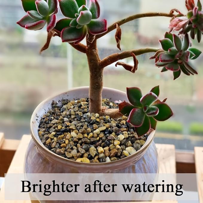 FANTIAN 20 lbs Natural Fish Tank Gravel,1/4 Inch Pea Gravel. Mixed Color River Rocks for Aquarium, Succulent, Vase, Cactus Bonsai, Plant Soil Cover and Outdoor Landscaping Rocks