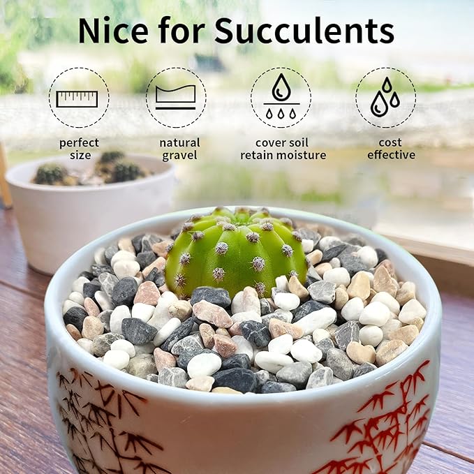 FANTIAN 5 lbs Succulent and Cactus Pebbles for Indoor Plants, 3/8 Inch Pea Gravel Decorative River Rocks for Plants, Vases, Terrarium, Aquarium, Potted Top Dressing and Outdoor Landscaping Stones