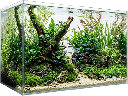 5 Gallon Glass Fish Tank, Nano Aquarium Fish Tank, Rimless Low Iron Aquarium for Betta/Turtle/Goldfish/Snails/Shrimp and Aquatic Planting