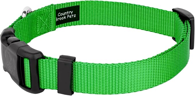 Country Brook Petz - Everyday Nylon Dog Collar and Leash - 10+ Cool Colors (3/4 Inch, Small, Hot Lime Green)
