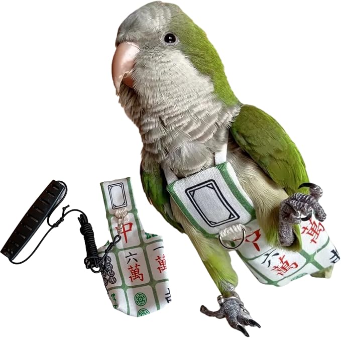 Bird Diaper Harness Flight Suit Clothes, Parrot Flight Suit with Leash for Parrot, Bird Flying Clothes with Rope and Handle for Outdoor Activities Training (with Leash,Necked Parakeet)