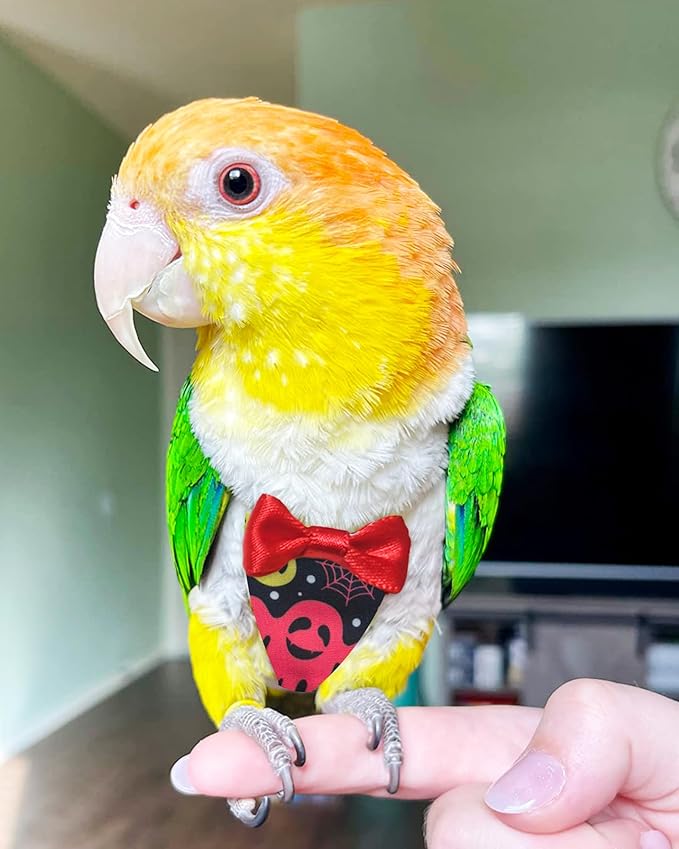 UKJENT Bird Diaper Protective Parrot Nappy 2 Pack, Reusable Flight Suit with Waterproof Inner Layer, Washable Cute Urine Wet Suit for Cockatiel Monk Parakeet Sun Parakeet Lory(S)