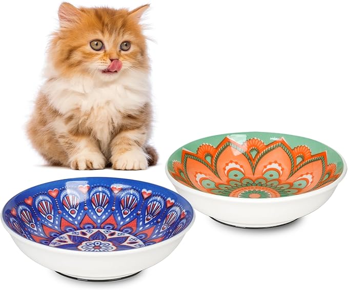 HAPPY KIT Ceramic Cat Food Bowl Set of 2, 5.75 inch Wide Shallow Cat Bowls/Dishes for Indoor, with Non-Slip Silicone Bottom, Whisker Friendly