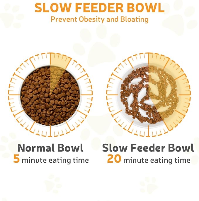 Ceramic Slow Feeder Cat Bowl 6.3" Wide (White) | Anti-Gulping & Keep Fit, Dishwasher Safe, For Dry and Wet Food, For Cats and Small Dogs, Shallow Bottom Puzzle Feeder