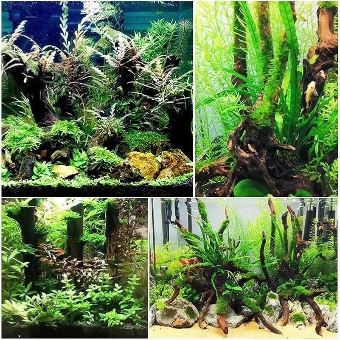 1Pc Natural Aquarium Driftwood Branches Wood Aquarium Trunk Driftwood Tree Fish Tank Log Decoration Plant Stump, Aquarium Decoration Wood Aquarium Thematic Ornaments Aquarium Accessories (8-10cm)