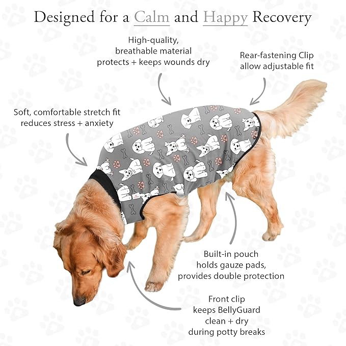 BellyGuard Dog Surgery Recovery Suit, Dog Onesie for Post-Op Care, Recovery Apparel for Female and Male, Surgical Body Cover for Canine Healing Support