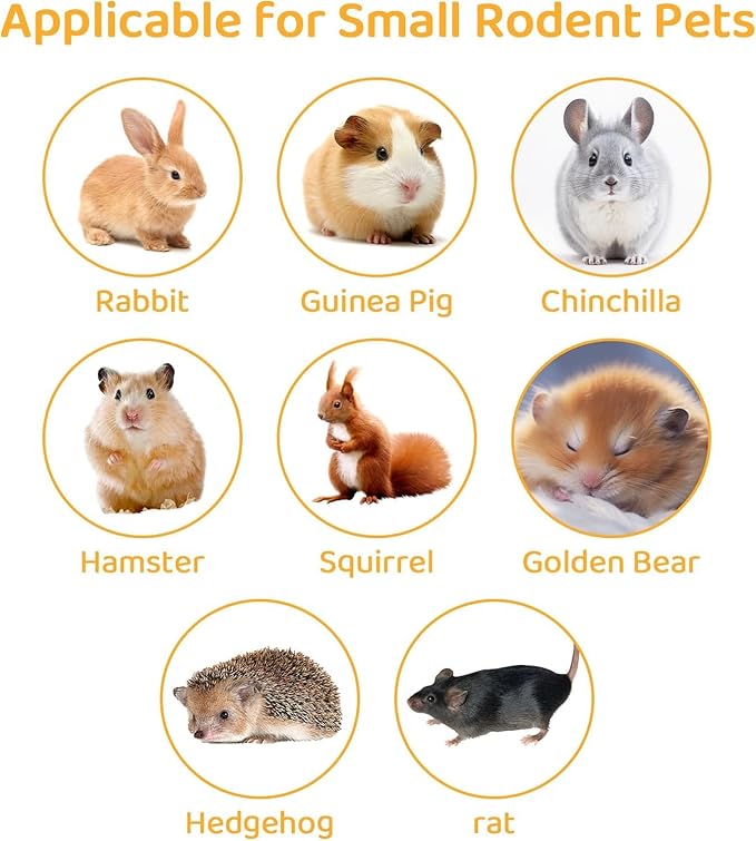 ANDES Natural Apple Sticks Small Animals Molar Wood Treats Toys Chinchilla Guinea Pig Hamster Rabbit Gerbil Parrot Bunny and Small Animals Chew Stick Toys Treats (Premium Apple Sticks -10.6oz)