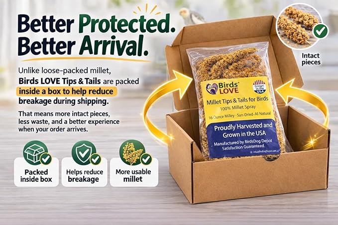 Birds LOVE Millet Tips & Tails for Birds - Parakeets, Cockatiels, Lovebirds, Finches, Budgies, Canaries, Cockatoos - Natural & Healthy Millet for Birds - Parakeet Food & Treats for All Parrots, 1lb