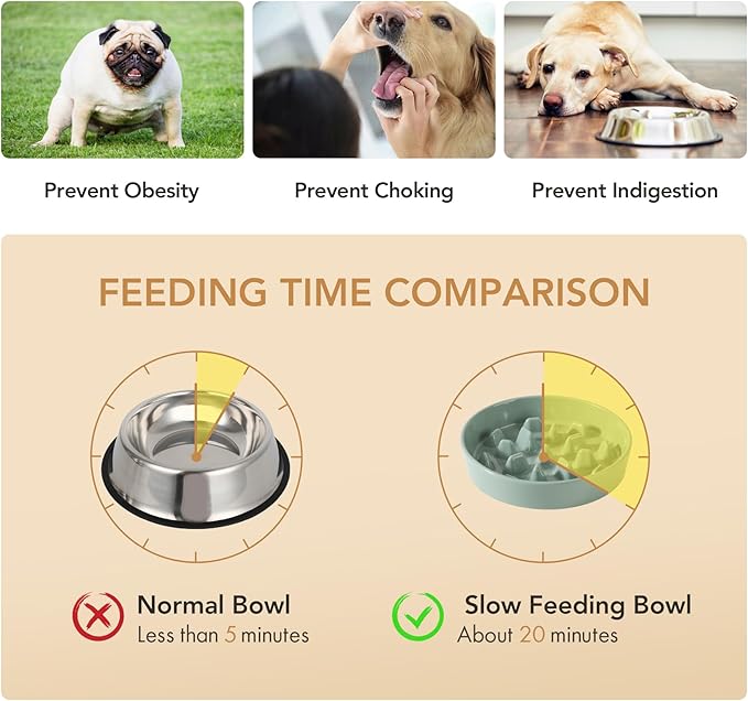 Havniva Ceramic 3.2 Cup Dog Bowl Slow Feeder, 9.5 inch Slow Pet Food Dish for Large Dog, Stop Bloat, Preventing Choking(Single Bowl,Light Green)