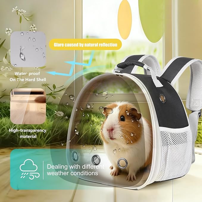Portable Guinea Pig Backpack, Polarized Bubble Backpack for Small Animals Travel Handbag Cage for Kitten Rabbit Squirrel Bearded Dragon Turtle Breathable Carrier