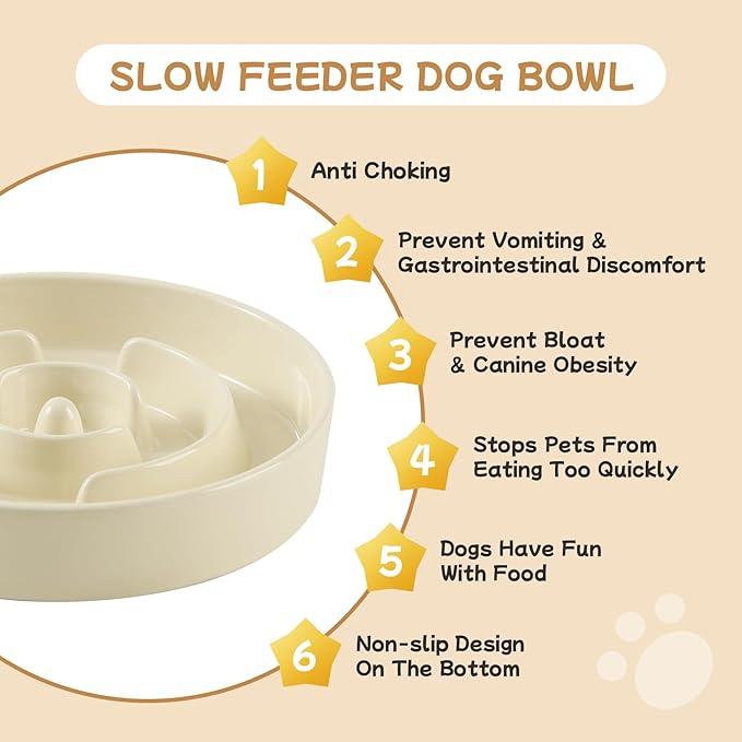 Havniva Ceramic 0.9 Cup Raised Slow Feeder Dog Bowl Set, Elevated 6.1inch Water Bowl and 6.1inch Slow Dish with Wooden Stand for Small Dogs (2 x Light Yellow+ Stand)