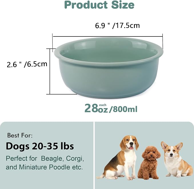 Wordcam 28oz Ceramic Dog Bowls, Durable Modern Pet Food and Water Bowls for Small Medium Dogs and Cats, Replacement Bowls for Wordcam SS02 Model (Light Green)