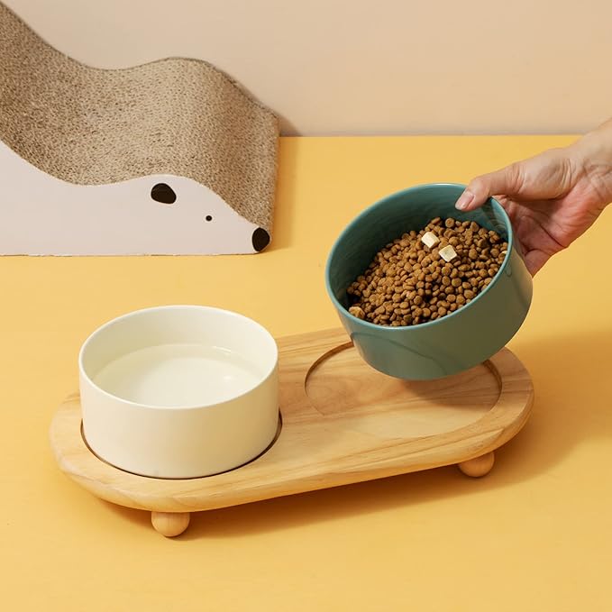Havniva Raised Cat Water Bowl 5.1” Elevated Ceramic Cat Food and Water Bowl Whisker Friendly Pet Water Bowls for Indoor Cats, Wide Kitten Dish Relieve Whisker Fatigue Non Slip Cat Feeder