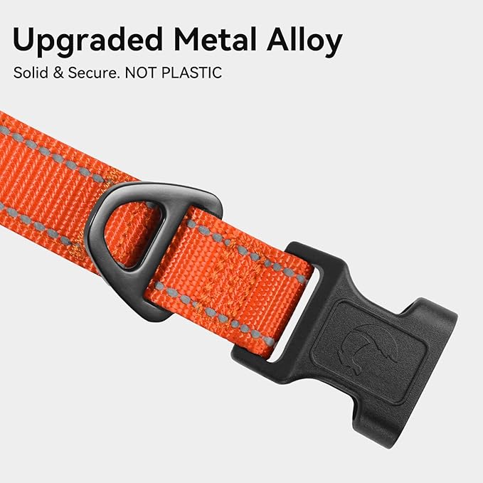Joytale Dog Collar,Soft Neoprene Padded Breathable Nylon Pet Collar Adjustable for Small Dogs,Orange,S