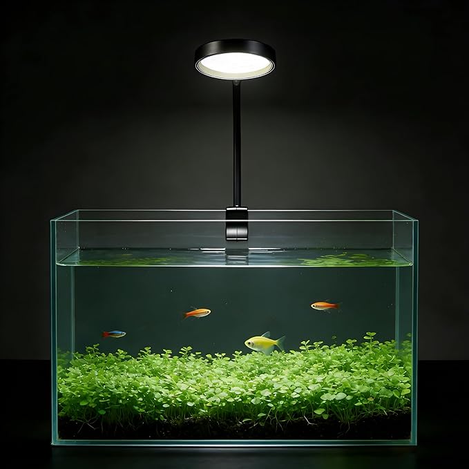 Carefree Fish Aquarium LED Light USB 7W Timer 4/8/12/18 Hours for 1~5Gal Fish Tank (Include UL Certification Power Adapter)