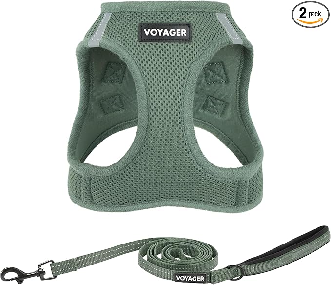 Best Pet Supplies Voyager Step-in Air All Weather Mesh Harness and Reflective Dog 5ft Leash Combo with Neoprene Handle, for Small, Medium and Large Breed Puppies - Moss Green, X-Small