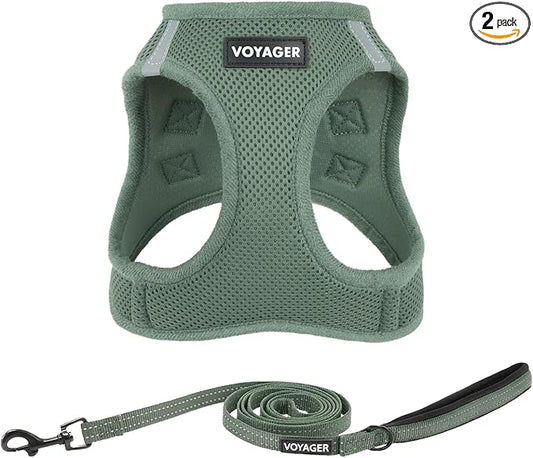 Best Pet Supplies Voyager Step-in Air All Weather Mesh Harness and Reflective Dog 5ft Leash Combo with Neoprene Handle, for Small, Medium and Large Breed Puppies - Moss Green, X-Small