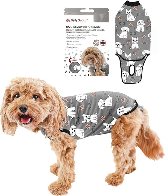 BellyGuard Dog Surgery Recovery Suit, Dog Onesie for Post-Op Care, Recovery Apparel for Female and Male, Surgical Body Cover for Canine Healing Support