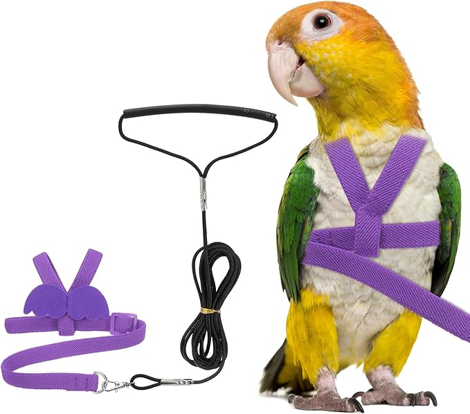 Bird Harness Leash, Adjustable Pet Parrot Bird Harness and Leash Lightweight Anti-Bite Flight Training Rope with Cute Wing, (Purple, XS), Intended for Parrots/Pigeons/Budgies